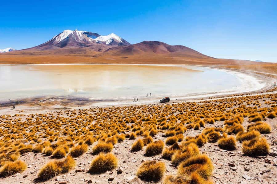 San Pedro de Atacama Day Trip: Atacama Desert and Salt Flats - Why This Tour Offers Good Value