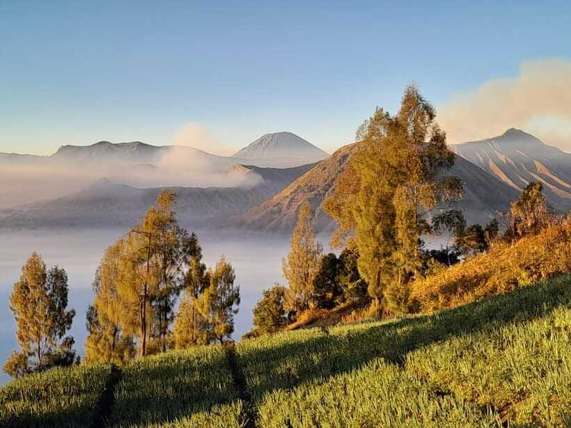 Start From Surabaya: Mount Bromo Sunrise Shared Guided Tour - FAQ