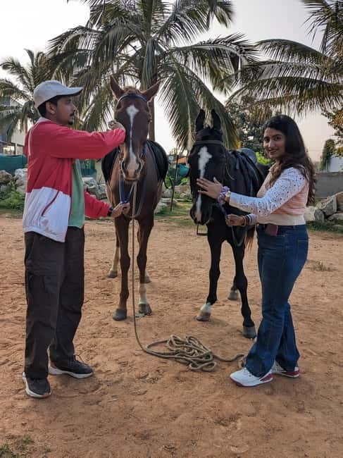 Bangalore: Horse Riding Safari Tour - Key Points