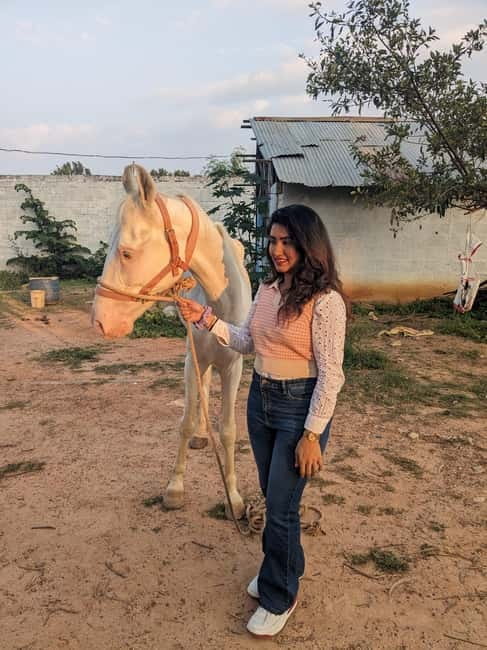 Bangalore: Horse Riding Safari Tour - What to Expect from the Bangalore Horse Riding Safari