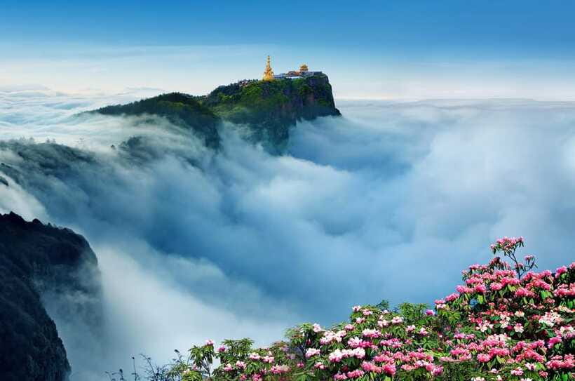 From Chengdu: Mount Emei Day Trip with Golden Summit Visit - Who Should Consider This Tour