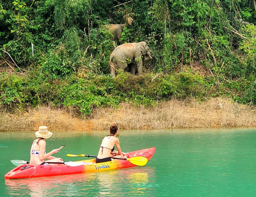 Phuket: Cheow Lan Lake, Diamond Cave, Hiking, All Included - Key Points