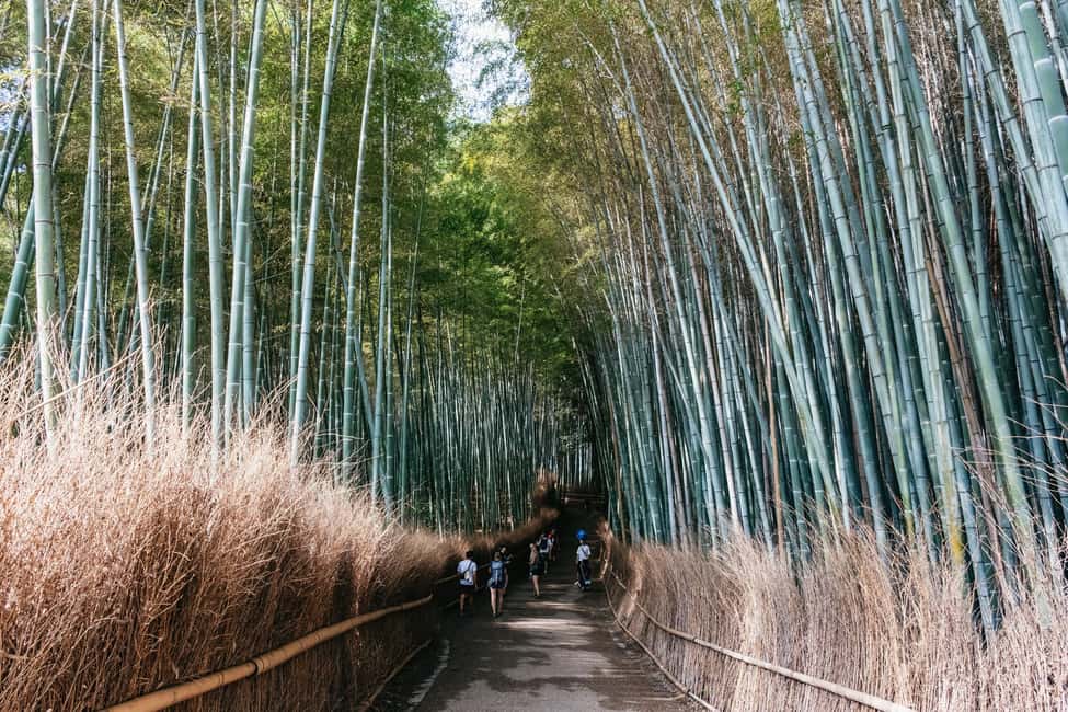 Kyoto: Nijo Castle, Arashiyama, Kiyomizu & Fushimi Inari - In The Sum Up