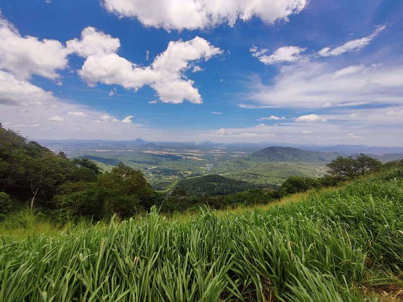 Ella: Guided Day Tour with Tea Estate Visit - The Nine Arches Bridge: A Colonial Wonder