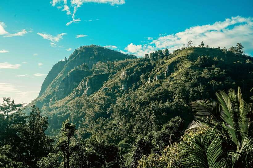 Ella: Guided Day Tour with Tea Estate Visit - Cultural and Culinary Experiences in Ella