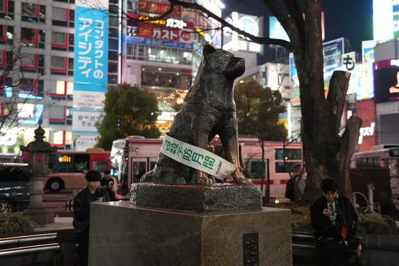 Tokyo: Shibuya Food Tour, Neon Lights & Local Flavors - FAQ