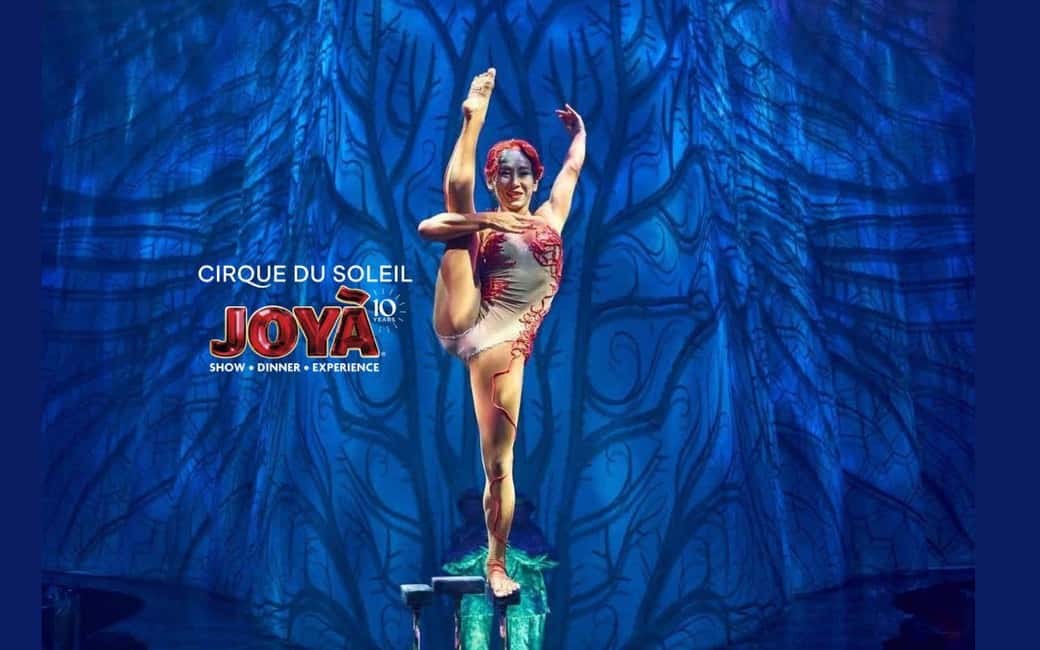 Cancún: Cirque du Soleil JOYÀ Ticket - A Deep Dive into the Experience
