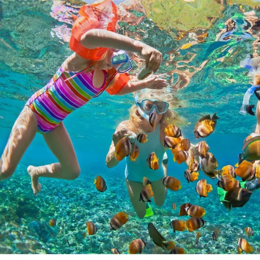 Lomboks Hidden Gems: Snorkeling Gili Kondo & Petagan - The Practicalities: What You Need to Know