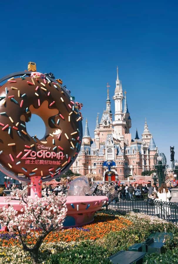 Winter magic: Shanghai Disneyland Ticket for festive fun - Final Thoughts: Is It Worth It?