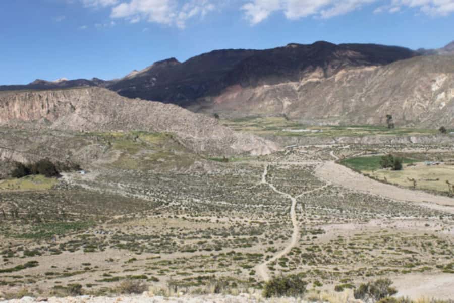 Putre: Trekking Cerro Surunche with Andean Rituals - An in-depth look at the Cerro Surunche trek