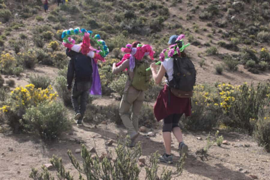 Putre: Trekking Cerro Surunche with Andean Rituals - FAQs
