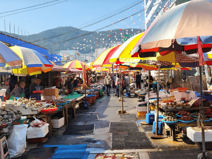 Busan: Sightseeing Tour for Cruise Passengers - Why This Tour Stands Out