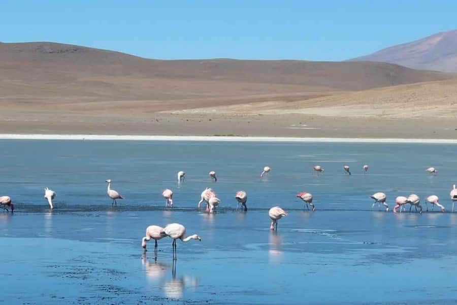 From San Pedro de Atacama: 3-Day Uyuni Salt Flat Tour - The Itinerary in Detail