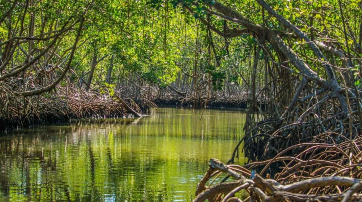 Samaná: Los Haitises and Cayo Levantado with Hotel Stay - Breaking Down the Itinerary: Why It Matters