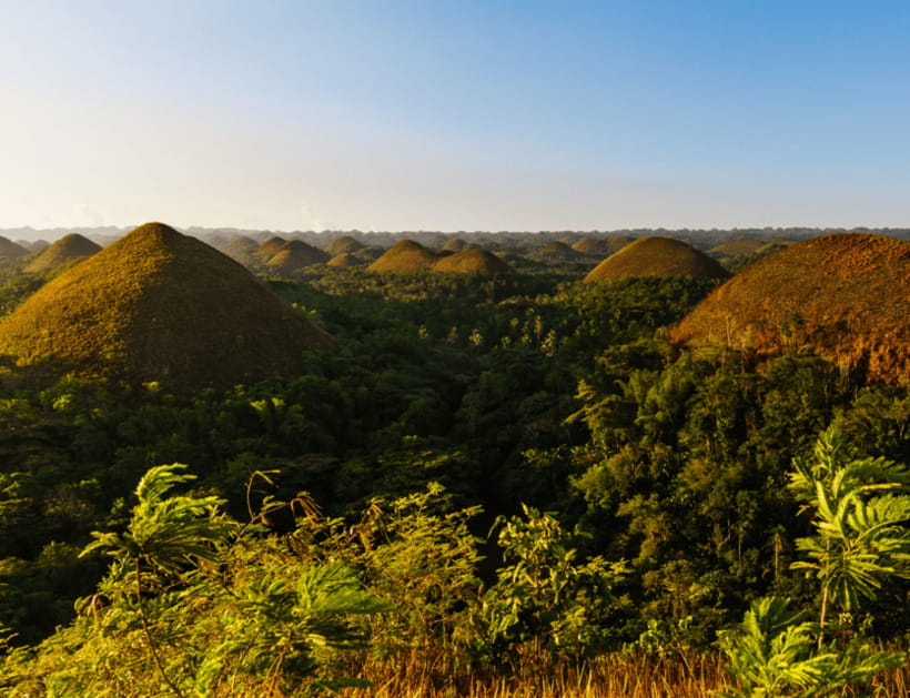 Bohol: Countryside Tour with Tarsiers and Chocolate Hills - Insights from Past Travelers