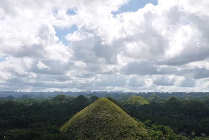 Bohol: Countryside Tour with Tarsiers and Chocolate Hills - Who This Tour Is Best For
