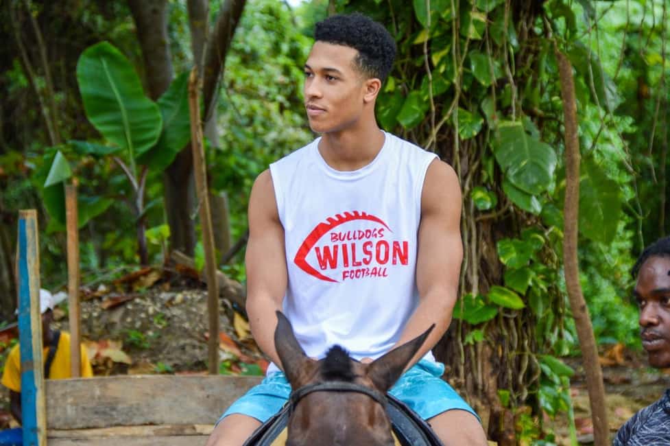 Ocho Rios: Blue Hole, White River Tubing, and Horseback Ride - Detailed breakdown of the itinerary