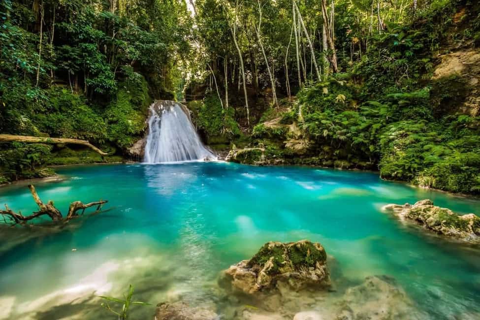 Ocho Rios: Blue Hole, White River Tubing, and Horseback Ride - Who this tour is perfect for