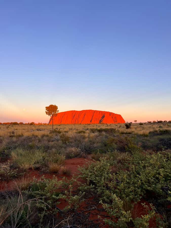 Uluru: 4-Day Rock to Rock Adventure Tour - Good To Know