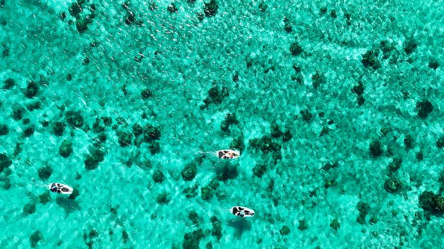 Private E-Board Tour of Moorea Lagoon - Discover Moorea’s Lagoon in a Unique Way