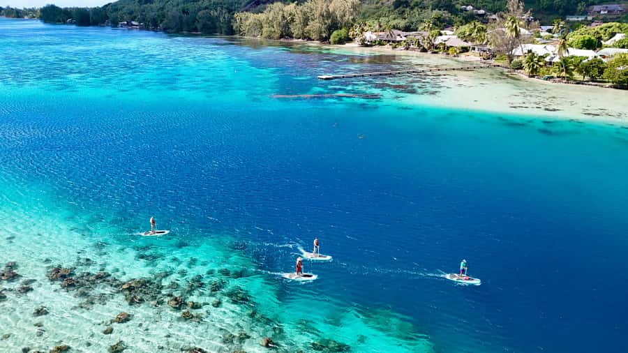 Private E-Board Tour of Moorea Lagoon - The Value of a Private Tour
