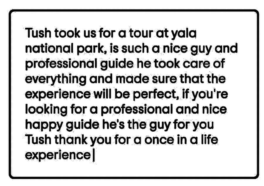 From Ella: Udawalawe National Park Safari with Return - Practical Tips for the Tour