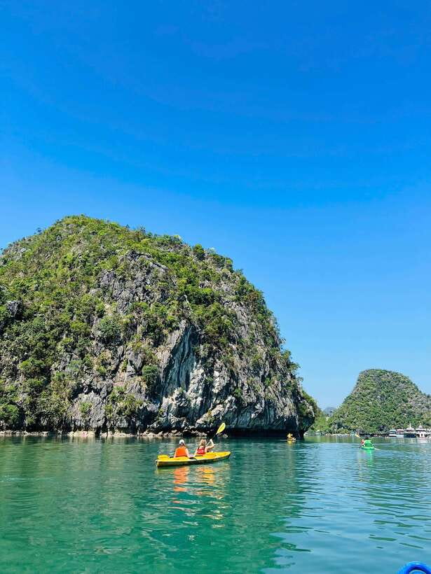 Con Dao Night Turtle Watching And Coral Snorkeling Eco Tour - Who Should Consider This Tour?