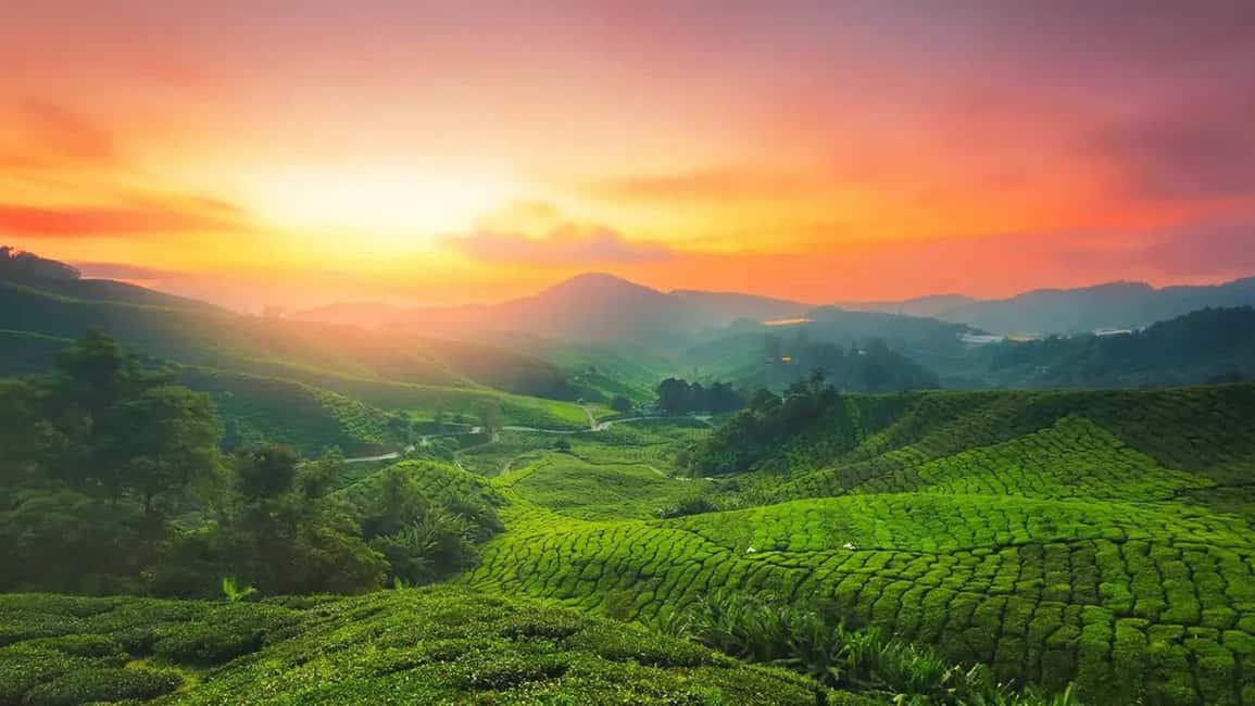 Exclusive Kerala Beauty, Munnar Hill Station Overnight Tour - Practical Tips for Travelers