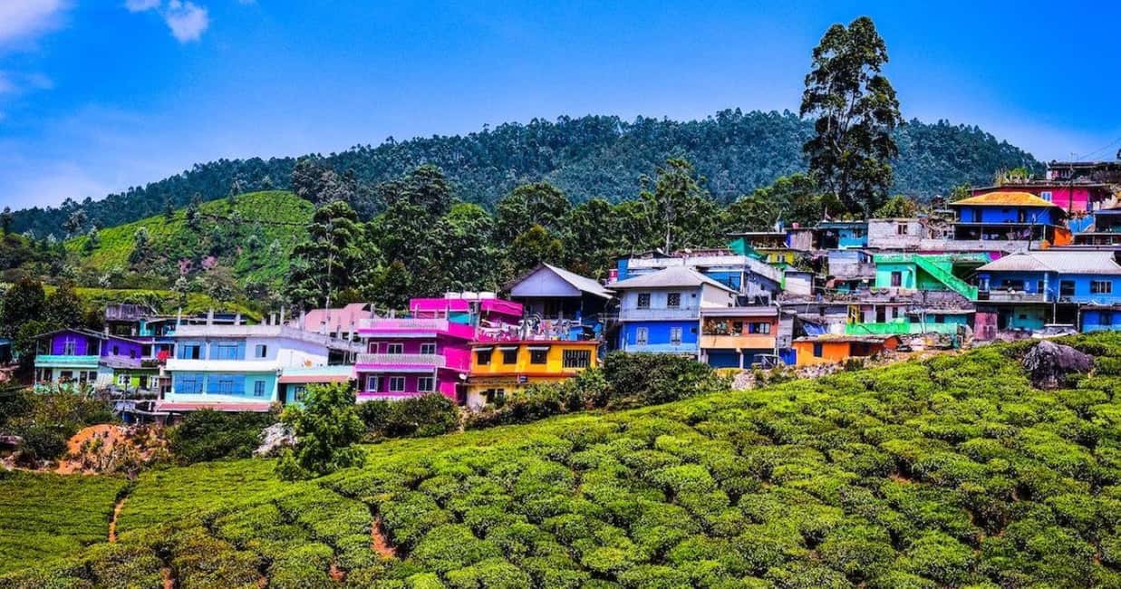 Exclusive Kerala Beauty, Munnar Hill Station Overnight Tour - Key Points