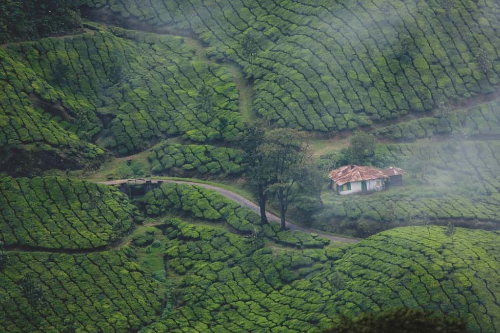 Exclusive Kerala Beauty, Munnar Hill Station Overnight Tour - Final Thoughts