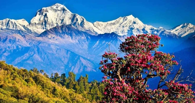 Pokhara: 3 days Trek to Poon hill - What Travelers Can Expect