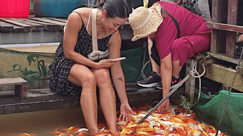 Ho Chi Minh: 2-Day Authentic Mekong Delta-Can Tho (No-Shop) - The Experience and Guides