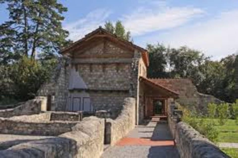 Vienna: Carnuntum Roman city tour with guide - Key Points