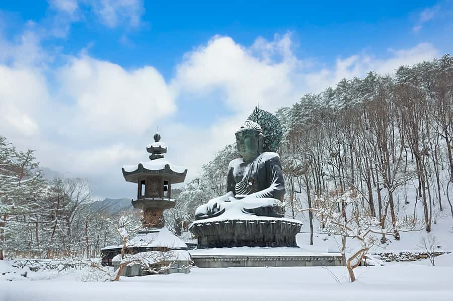 Seoul: Seorak Mountain, Nami Island, Eobi Ice Valley Tour - An In-Depth Look at the Itinerary and Highlights