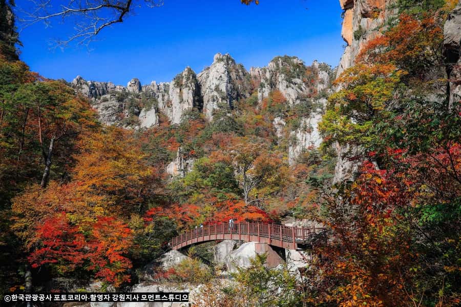Seoul: Seorak Mountain, Nami Island, Eobi Ice Valley Tour - Final Thoughts: Is This Tour Worth It?