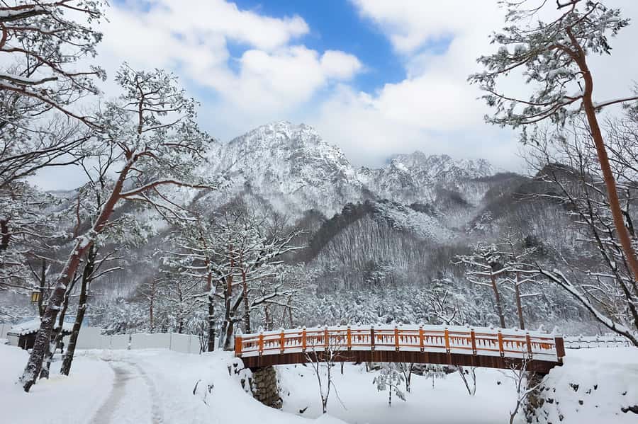 Seoul: Seorak Mountain, Nami Island, Eobi Ice Valley Tour - The Pros and Cons