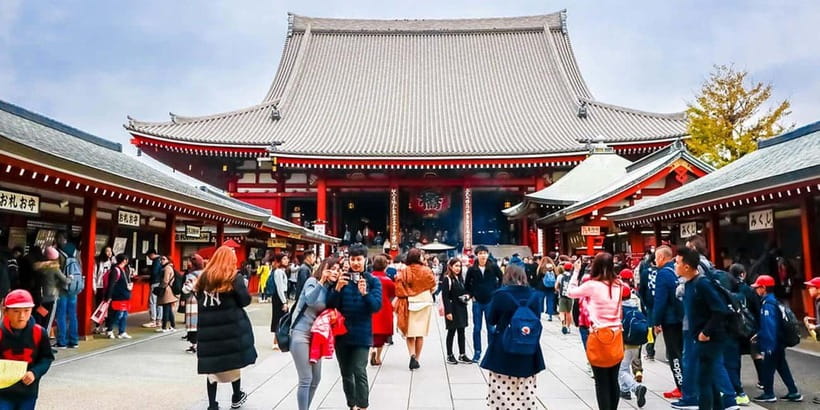 Tokyo City of Lights Private Tour Sightseeing Tour Private - Authenticity and Value: What to Expect