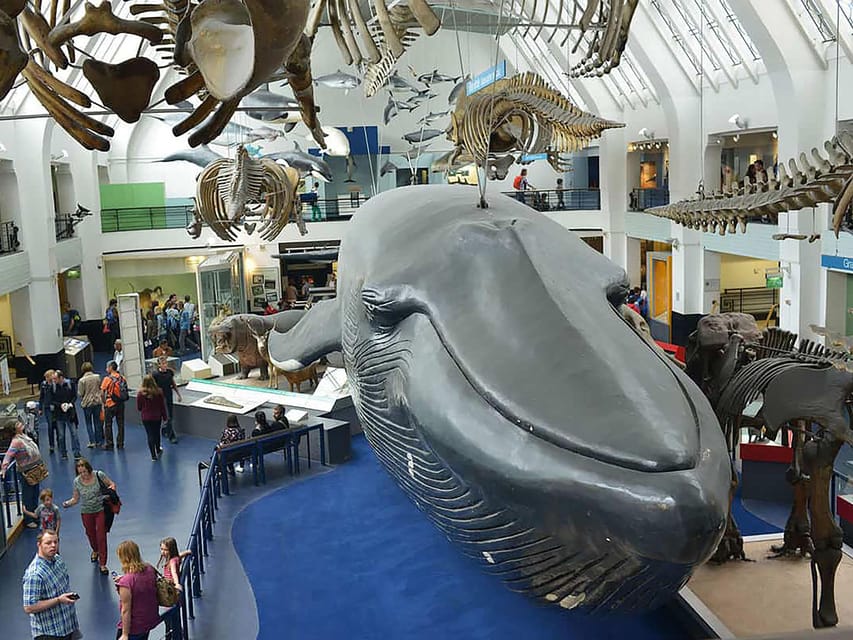 London: Guided Tour of Natural Marvels - The Perfect Start: The Central Hall and Diplodocus