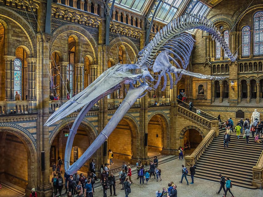 London: Guided Tour of Natural Marvels - The Minerals and Gems Collection
