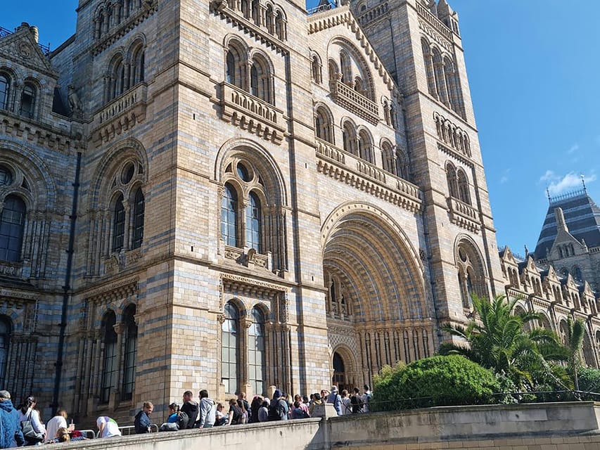 London: Guided Tour of Natural Marvels - The Majestic Blue Whale Skeleton