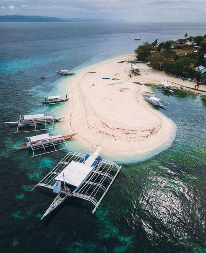 From Cebu:Pamilacan, Virgin Island, Dolphin Watching & Lunch - What to Expect: Practical Details and Experiences