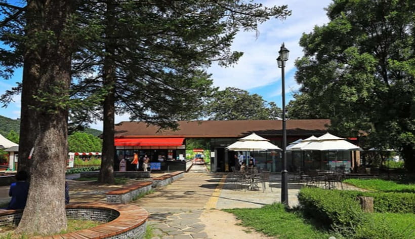 Seoul: Nami+Hanbok+Waterfall(+RailBike or Strawberry)Tour - Good To Know