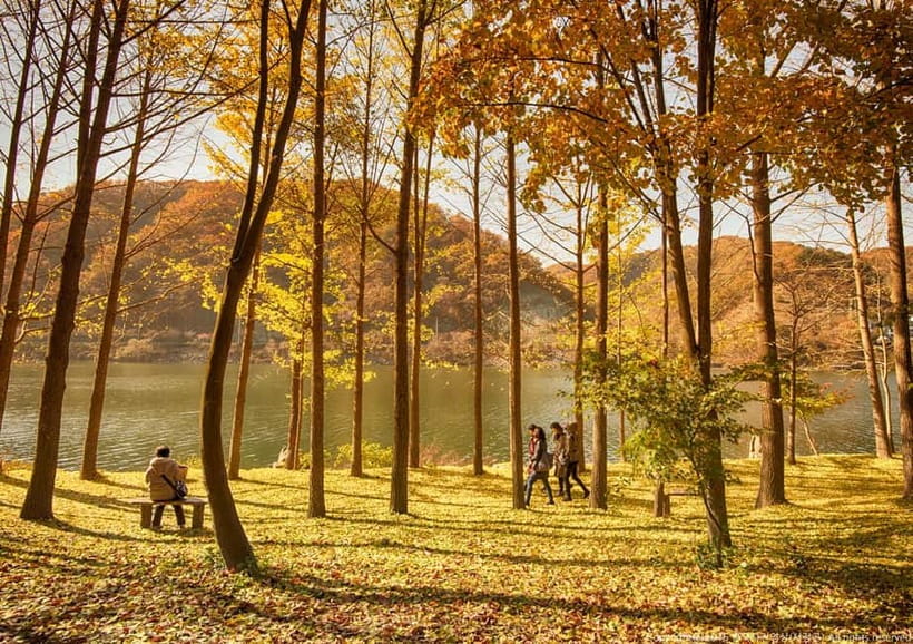 Seoul: Nami+Hanbok+Waterfall(+RailBike or Strawberry)Tour - The Itinerary Breakdown: What to Expect