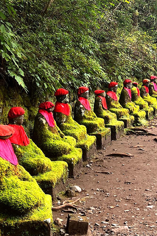 From Tokyo: Nikko private 1-day sightseeing Tour with Guide - FAQ