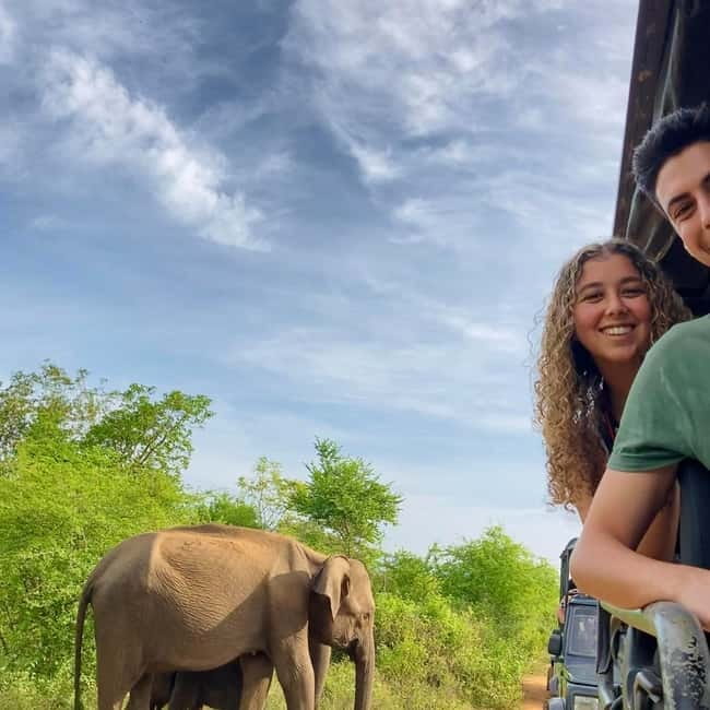 From Tangalle/ Hiriketiya: Yala Safari with Drop: Ella - Practical Tips for Travelers