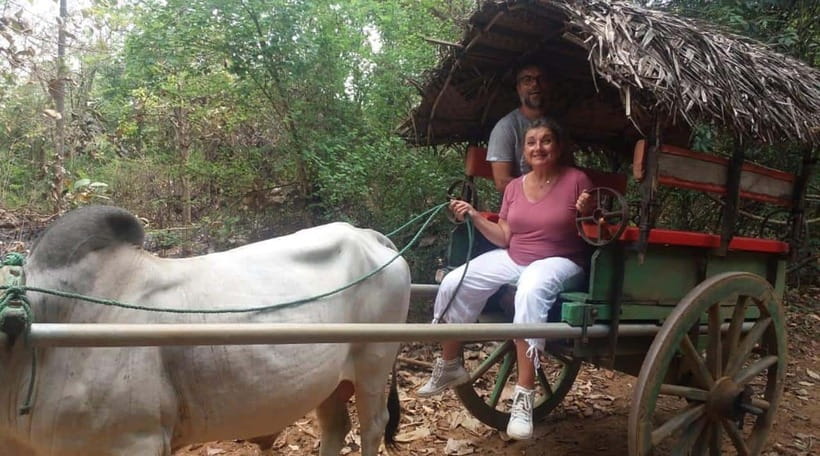 From Kandy: Sigiriya and Pidurangala Rock Tuk Tuk Safari - Good To Know
