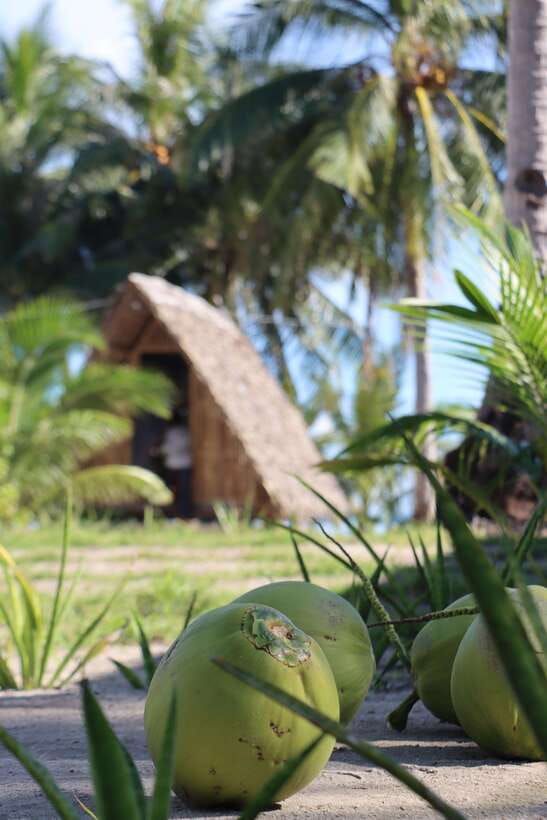 El Nido and Coron: 3-Day 2-Night Island-Hopping Tour - FAQ