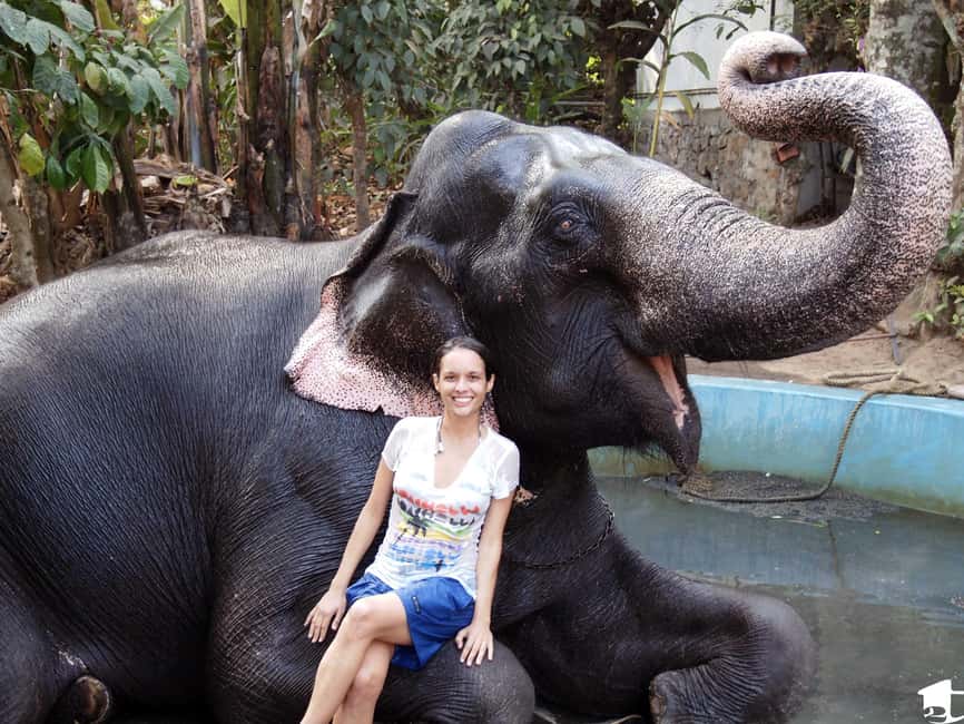 Exclusive, Periyar Wildlife Overnight Tour with Guide - FAQ