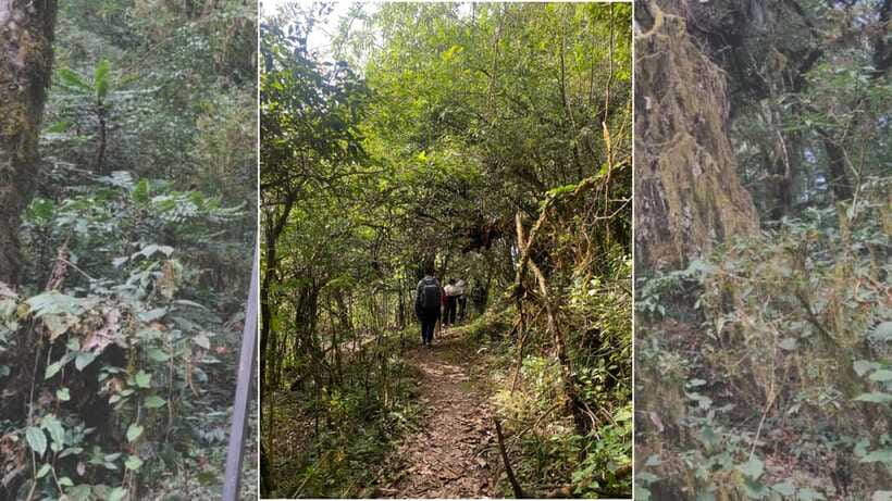 Kathmandu: 1N-2D Hiking to Chisapani and Nagarkot - Exploring the Itinerary in Detail