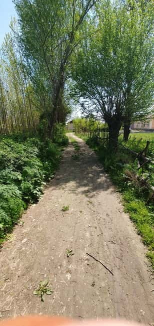 Samarkand: Village Tour with Plov Cooking Class & Home Visit - Home Visit: Genuine Uzbek Hospitality